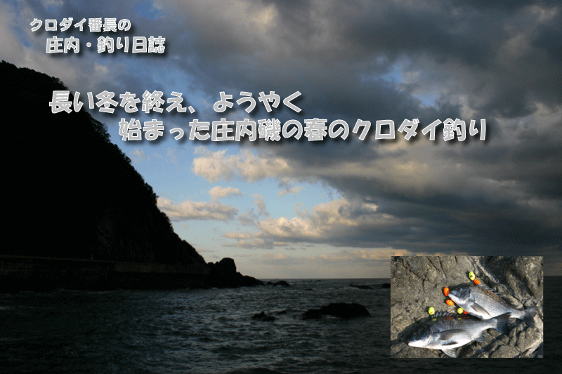 今年の冬は三月に入ってから寒い日が続いて 中々気温が上がってこないので みんなして春磯は何時から始まるんだろうとヤキモキしていた 時期的にはもうそろそろなのだがと思っていた所 四月四日の日曜日に ｔｅａｍウキ工房 庄内支部 の榎本氏より