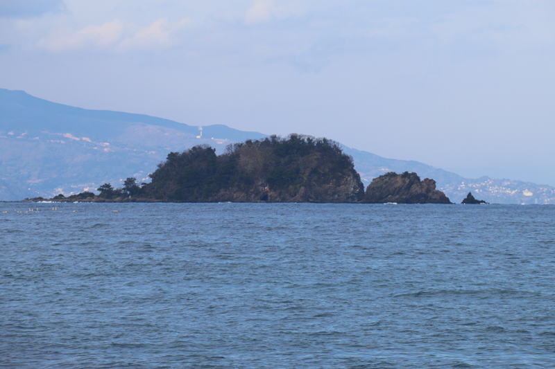 厳寒の東伊豆 手石島釣行 厳寒の東伊豆 手石島釣行 娘のダンナの達也君から１月３０日 火 休みなので何処か釣行しませんか との連絡があり 今年に入って２人とも釣果が思わしくなくストレスが貯まっていたので 以前から行ってみたいと思ってい